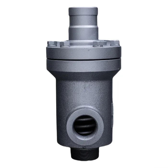 Drsni obroč Rotary Union